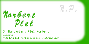 norbert plel business card